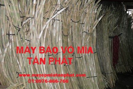 tan-phat-15.JPG